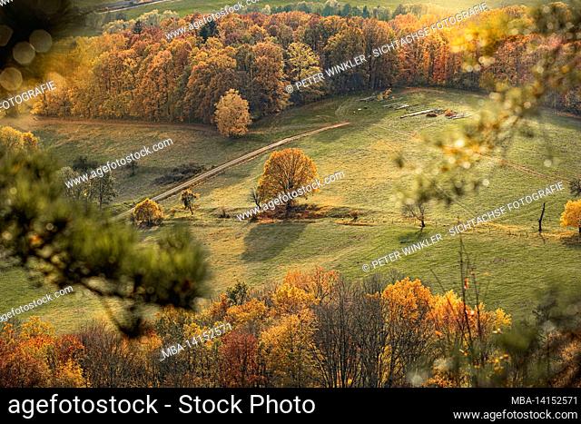 autumn landscape in thuringia