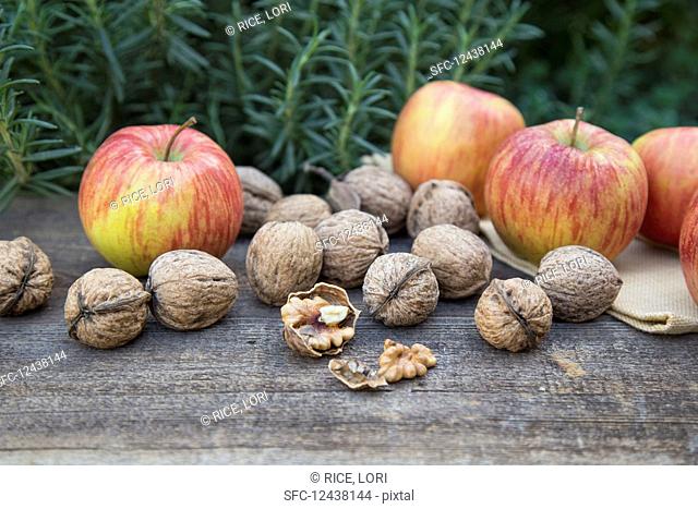 Apples and Walnuts on Wood Surface