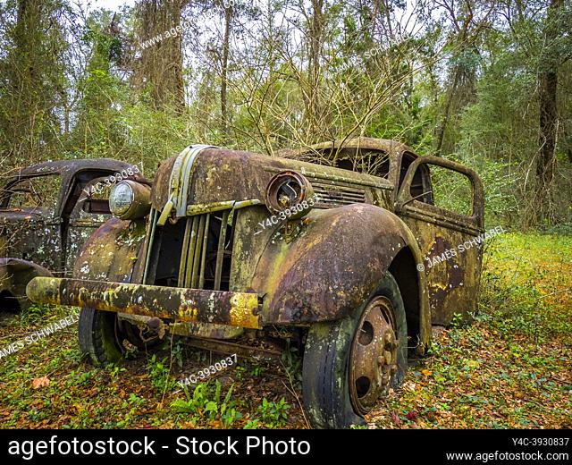 Old rusted abandoned trucks in Crawfordville Florida