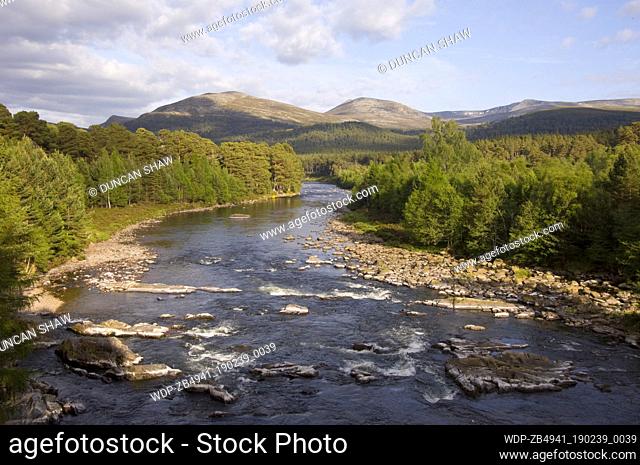 The River Dee flowing through Ballochbuie Forest near Braemar, part of Balmoral Estate, and looking east to the mountains of Lochnagar (1155 metres)