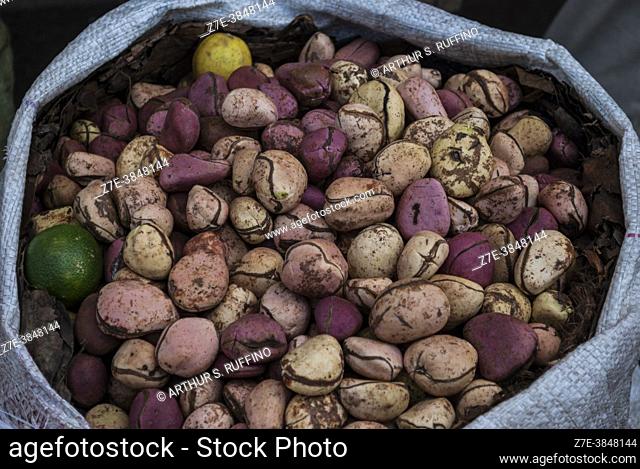 Sack of kola nuts (Cola). Local produce. Banjul, The Gambia, Africa