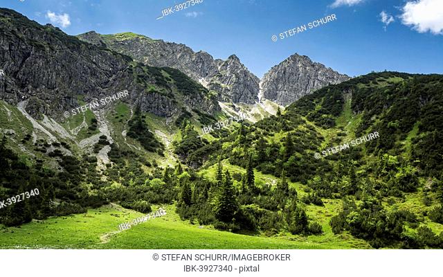 Geisalphorn, Geisalptal, Allgäu Alps, Bavaria, Germany