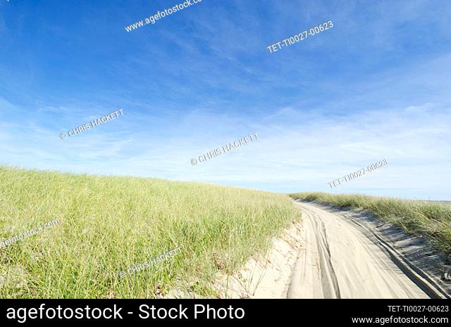 USA, Massachusetts, Nantucket Island, Coskata-Coatue Wildlife Refuge, Great Point, Empty beach path