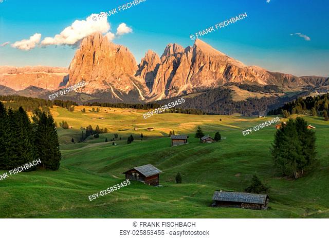 Seiser Alm with Langkofel Group in afternoon light, South Tyrol, Italy