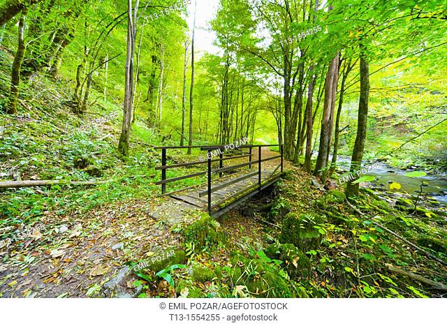 Small footbridge in Zeleni vir park near Skrad in Croatia