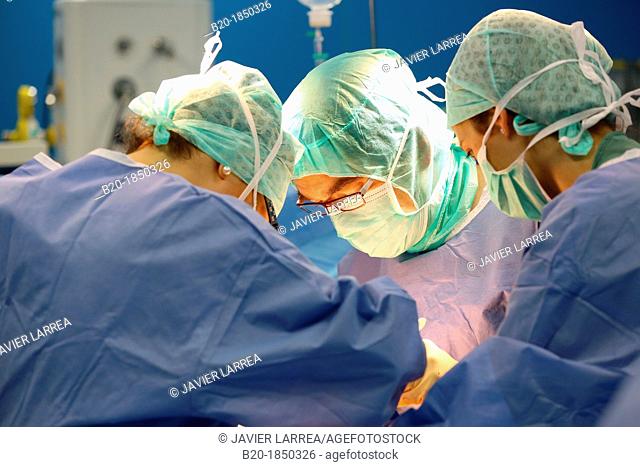 Hip replacement surgery, Orthopedics and Trauma surgery, Surgeon, Operating Theatre, Donostia Hospital, San Sebastian, Donostia, Gipuzkoa, Basque Country, Spain