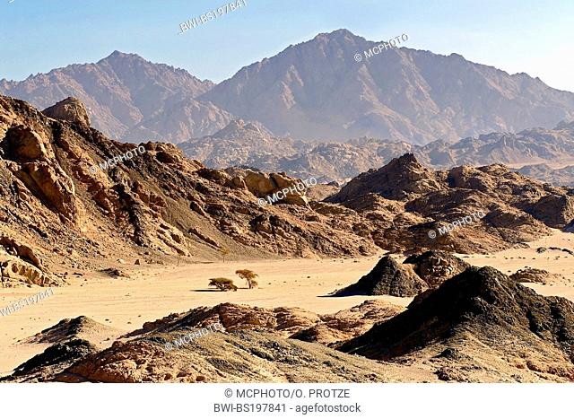 Sinai Desert near Sharm el Sheik, Egypt