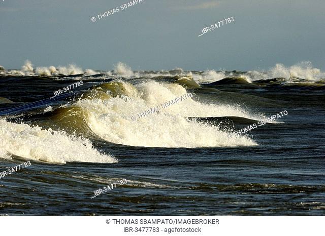 Breaking waves on Lake Erie, Point Pelee Nationalpark, Lake Erie, Ontario Province, Canada