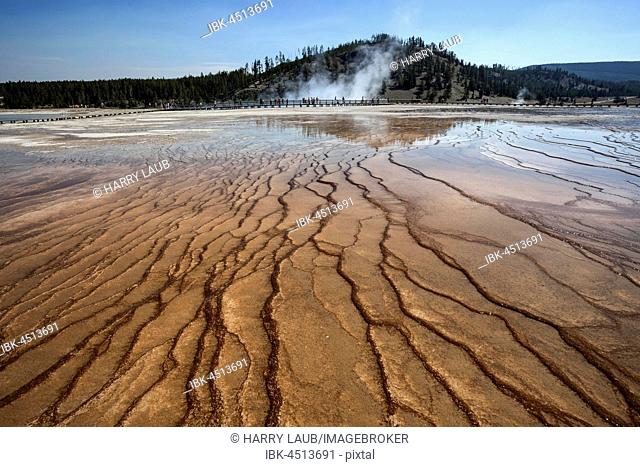 Mineral deposits, Midway Geyser Basin, Yellowstone National Park, Wyoming, USA