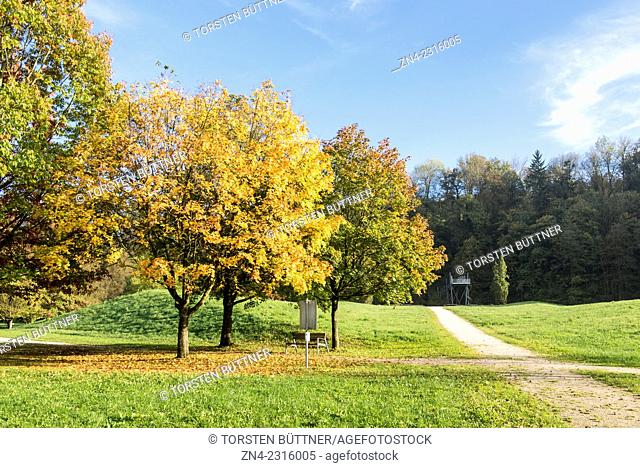 Autumn Trees and Vantage Point in Botanica Recreational Park. Bad Schallerbach. Austria