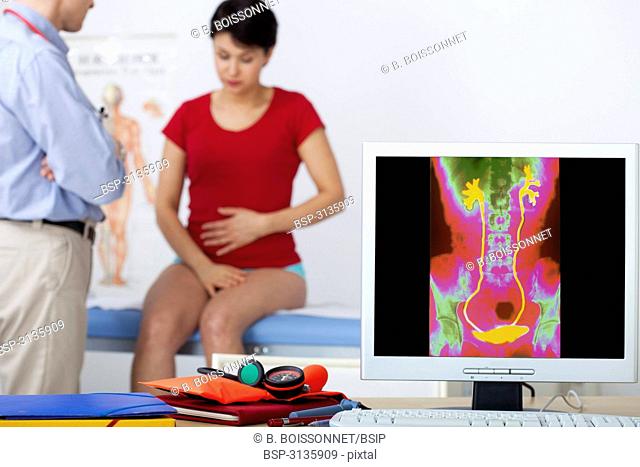 UROLOGY CONSULTATION WOMAN Models. On screen, colorized x-ray of the urinary system (without pathology)
