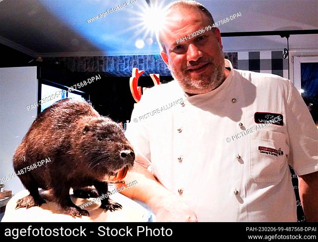 PRODUCTION - 31 January 2023, Meerbusch: Chef Johannes Siemes stands next to a stuffed nutria. Nutrias are multiplying rapidly in Germany