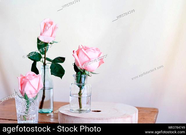 rose, decoration, interior
