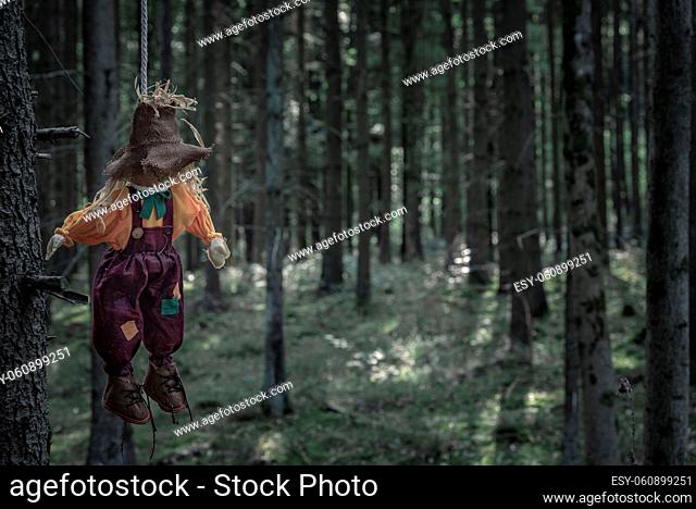 Scary scenery with a shabby scarecrow tied to a tree branch with a rope and left to hang, in the dark woods. A concept for Halloween