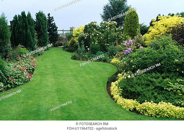 Grass path with shrub borders with dark green and golden foliage conifers