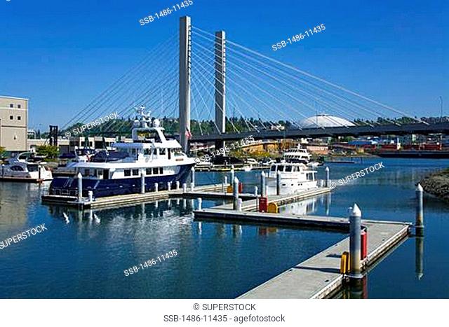 Yachts at a dock with a suspension bridge in the background, Foss Landing Marina, Tacoma, Pierce County, Washington State, USA