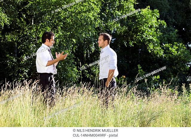 two businessmen talking in nature