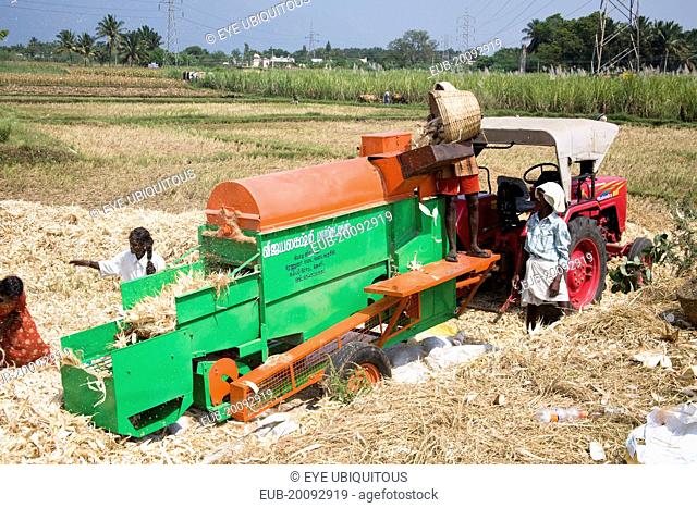 Farm labourers processing corn cobs on a type of threshing machine to remove leaves