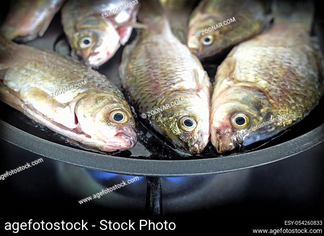 In a cast iron pan fry fresh river fish on the fire of the gas stove