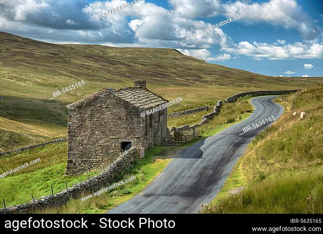 View of dry stone walls and stone barn beside the road, near Keld, Swaledale, Yorkshire Dales N.P., North Yorkshire, England, United Kingdom, Europe