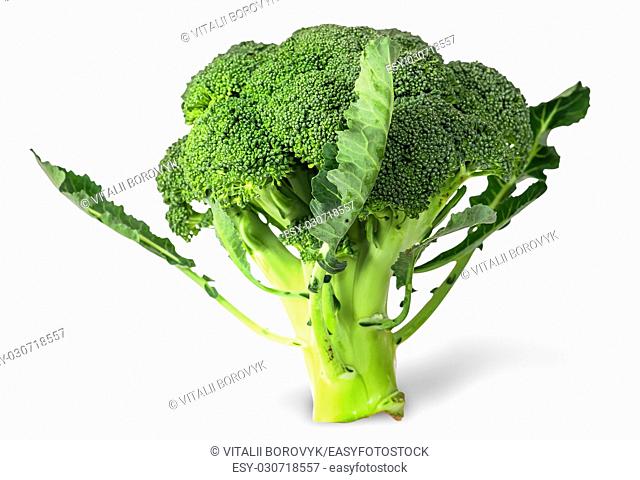 Large inflorescences of fresh broccoli with leaves isolated on white background