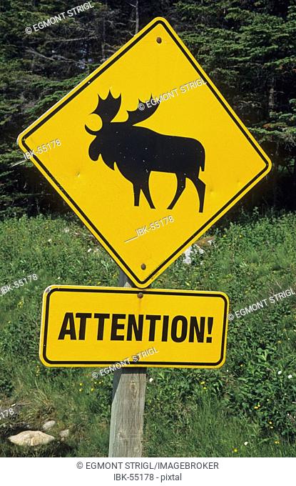 Warning sign for moose in Newfoundland, Newfoundland, CAN