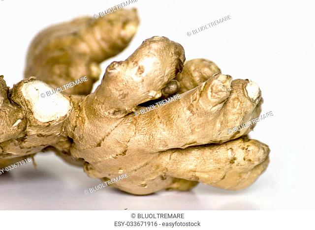 detail of ginger root similar to a hand isolated on white background