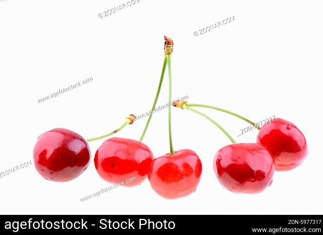 Sweet red cherries isolated on a white background