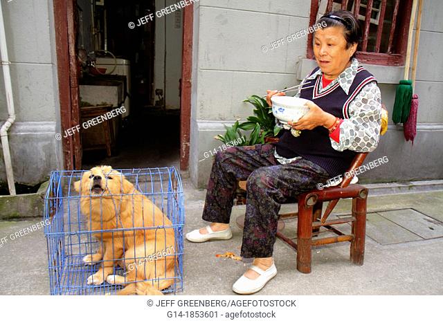 China, Shanghai, Luwan District, Xintiandi, Fuxing Middle Road, Huai-hai Community, Asian, woman, senior, dog, pet, cage, barking, threatening, eating