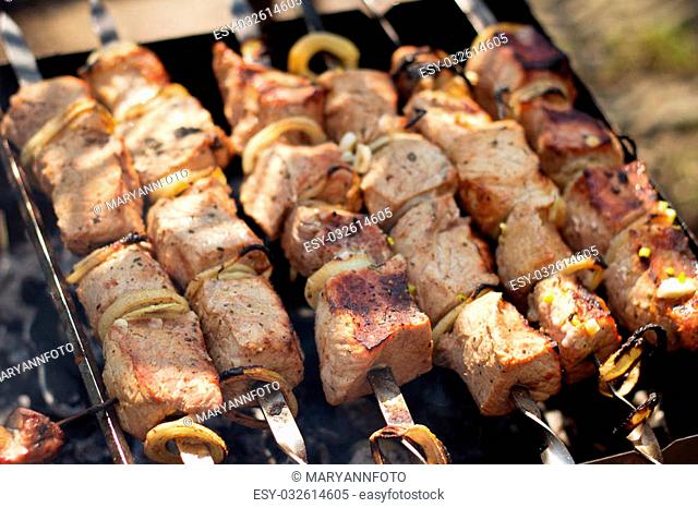 Outdoors simple barbecue - shish and kebab