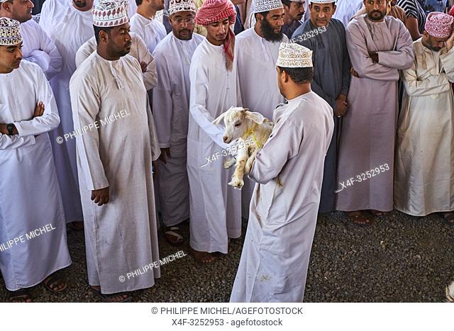 Sultanat d'Oman, gouvernorat de Ad-Dakhiliyah, Nizwa, le marché aux bestiaux du vendredi /Sultanate of Oman, Ad-Dakhiliyah Region, Nizwa, friday cattle market