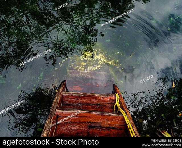 Images show fish, Algae and plants at the bottom of the waters of the Yax Kin natural pond to 13 km from the town of Tulum in the state of Quintana Roo