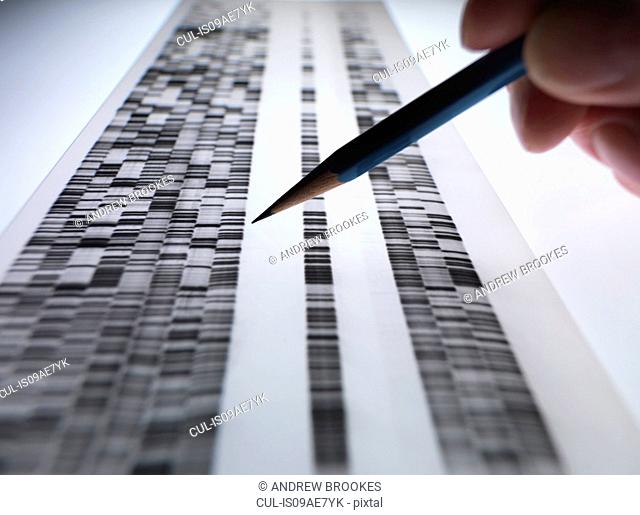 Scientist viewing DNA gel used in genetics, forensic, pharma research, biotechnology and biomedical science