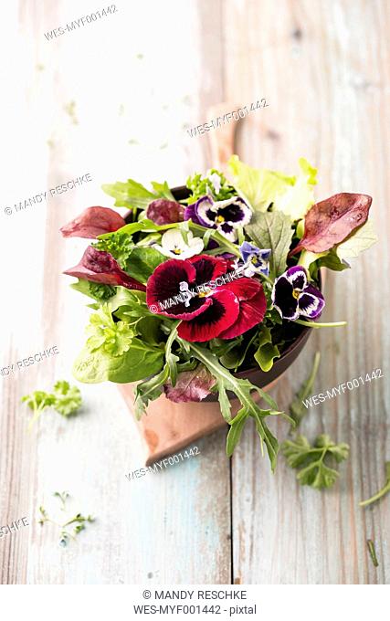 Bowl of leaf salad with edible flowers