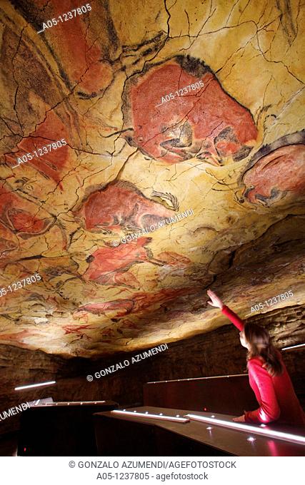 Woman looking at the paintings  Bisons in Altamira's reproduction cave Neo Cave  Upper Paleolithic cave paintings  Altamira museum  UNESCO World Heritage...