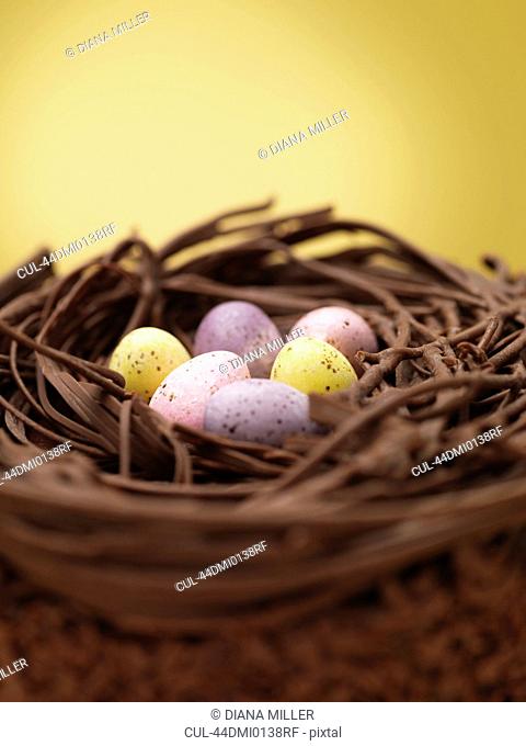 Close up of chocolate eggs in nest
