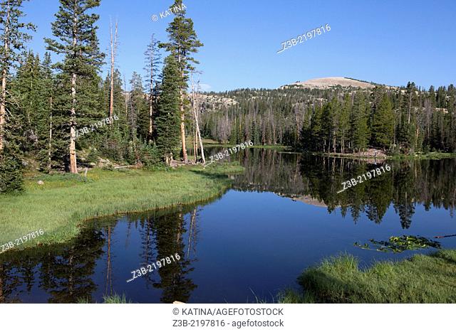 Summer morning at Butterfly Lake, Uinta-Wasatch-Cache National Forest, Utah, USA