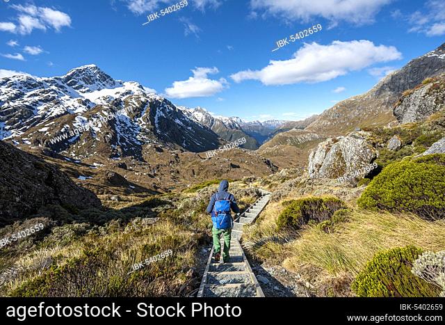 Hiker on the Routeburn Track, view of the Route Burn valley, Mount Aspiring National Park, Westland District, West Coast, South Island