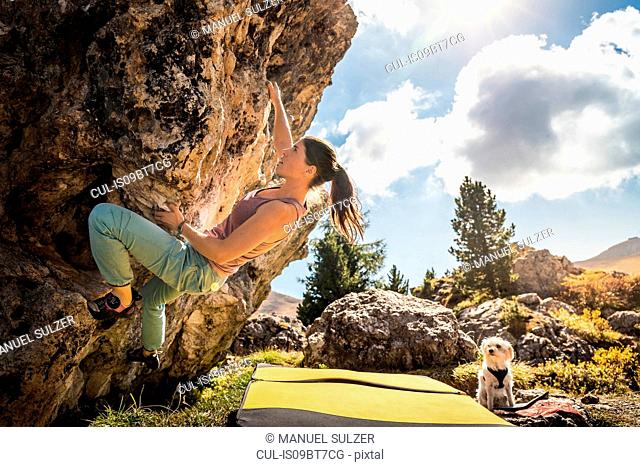 Woman bouldering with her dog watching, Città dei Sassi or Steinerne Stadt, Dolomites