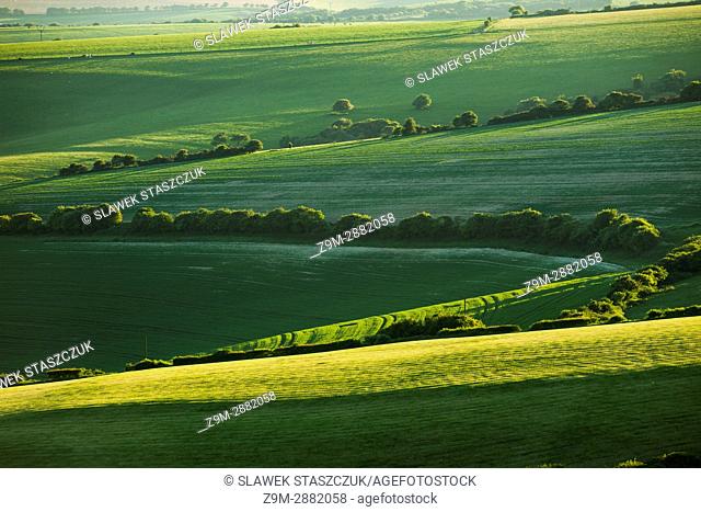 Spring afternoon in South Downs National Park, East Sussex, England