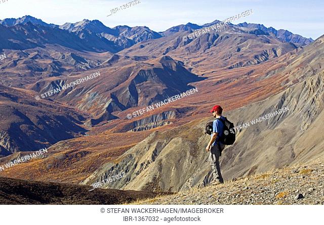 Hiker, man hiking, view from Sheep Mountain to Red Castle Ridge, St. Elias Mountains, Kluane National Park and Reserve, Yukon Territory, Canada