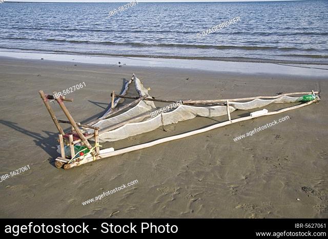 Push net used to catch Milkfish (Chanos chanos) fry laying on beach, collected to be raised in fishponds, Palawan Island, Philippines, Asia