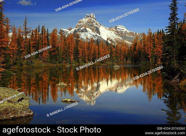 Cathedral Mountain Reflected in Cascade Lake in Opabin Plateau in the Lake O'Hara Region of British Columbia Canada