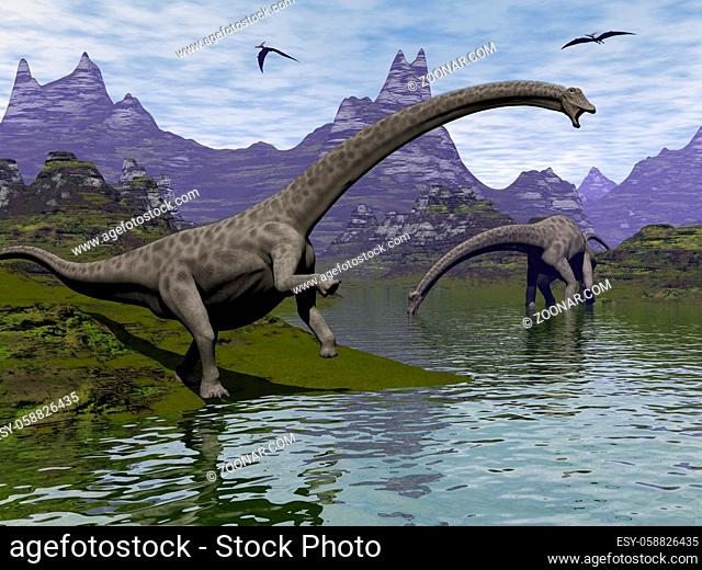 Diplodocus dinosaurs walking in a landscape by day - 3D render