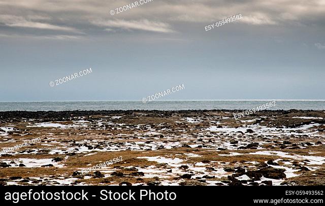Icelandic nature with green moss and snow on the ground and the Atlantic ocean