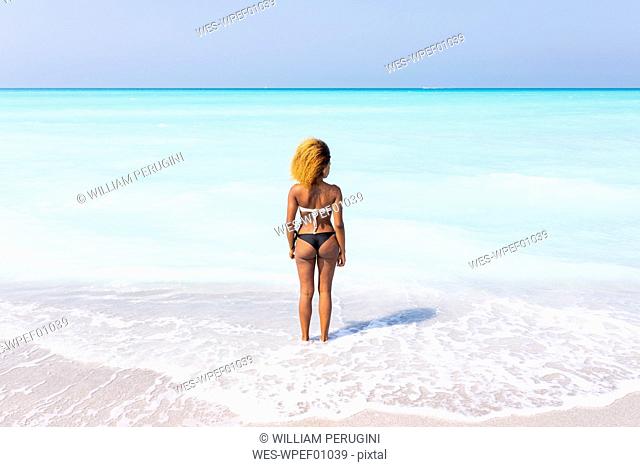 Young woman standing at the sea, looking at distance, rear view