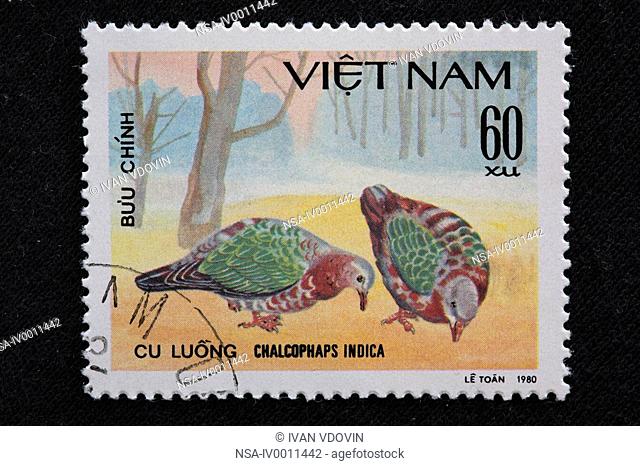 Emerald Dove Chalcophaps indica, postage stamp, Vietnam, 1980