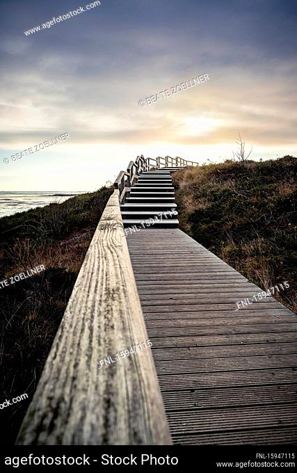 Boardwalk, Braderuper Heide, Sylt, Schleswig-Holstein, Germany, Europe