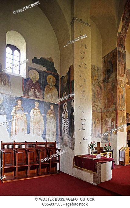 king Vladislav , king Radoslav , King Stephan the First-Crowned, procession of the Nemanyics, St  Savva, fresco, old narthex