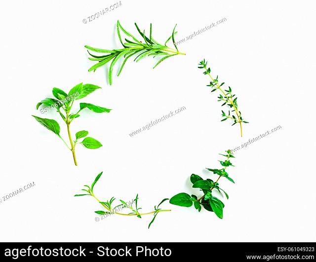 Green herb twigs in a circle isolated on white. Concept of fresh condiments for food, top view with copy cpace